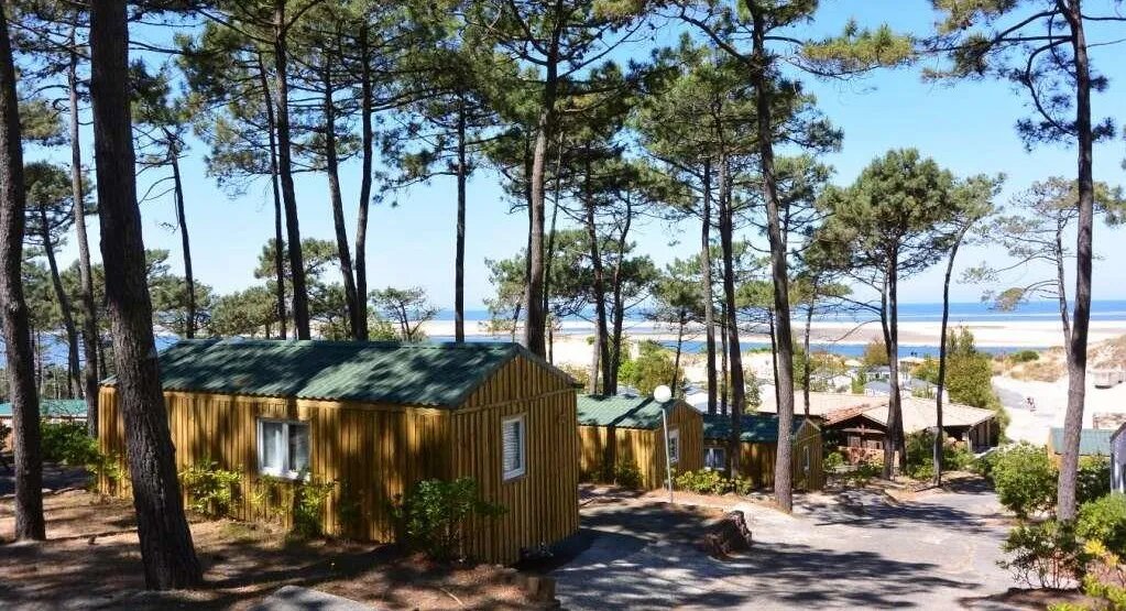 Pourquoi le camping en bord de mer à Arcachon devrait être votre prochaine vacance
