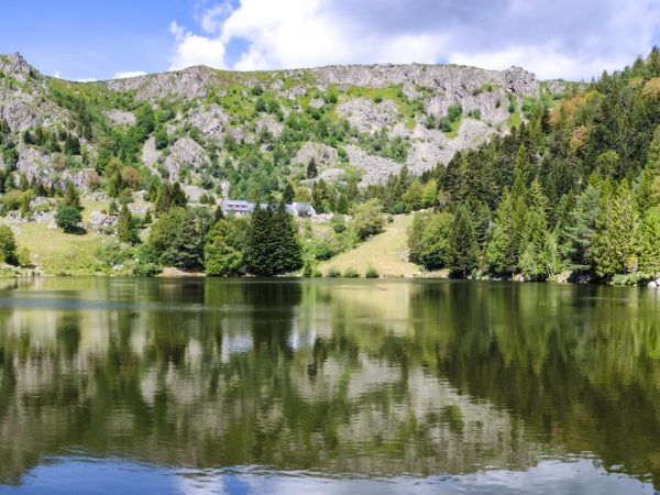 Quels conseils pour la location de camping 5 étoiles dans les Vosges?