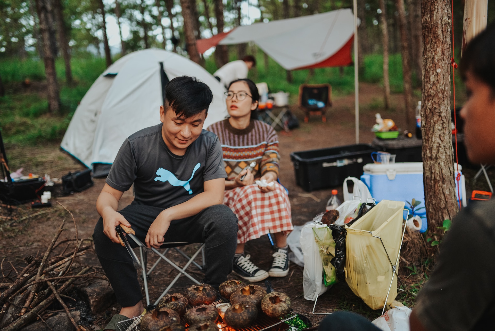 Quels sont les meilleurs campings près de Gap pour profiter de la nature ?
