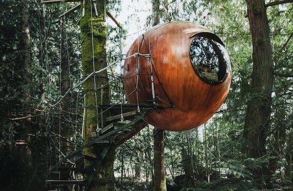 Découvrez les locations insolites de Seine-et-Marne pour un séjour inoubliable